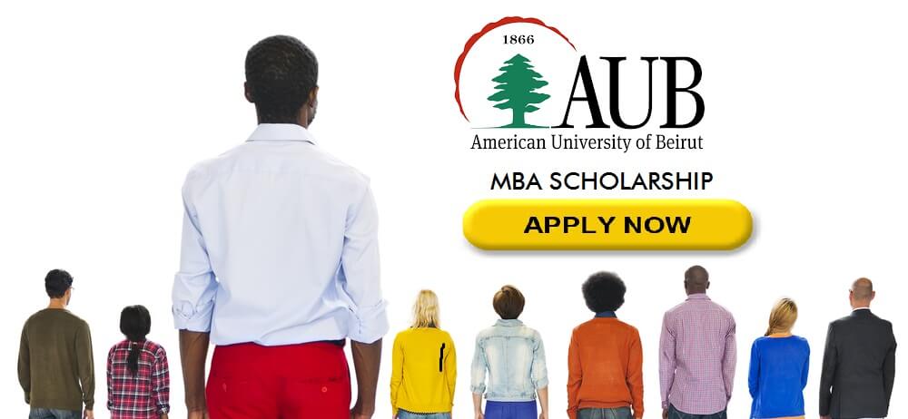 LNI Scholarship In AUB