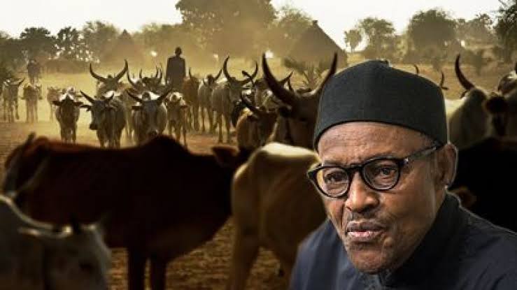Ruga, Buhari, FG
