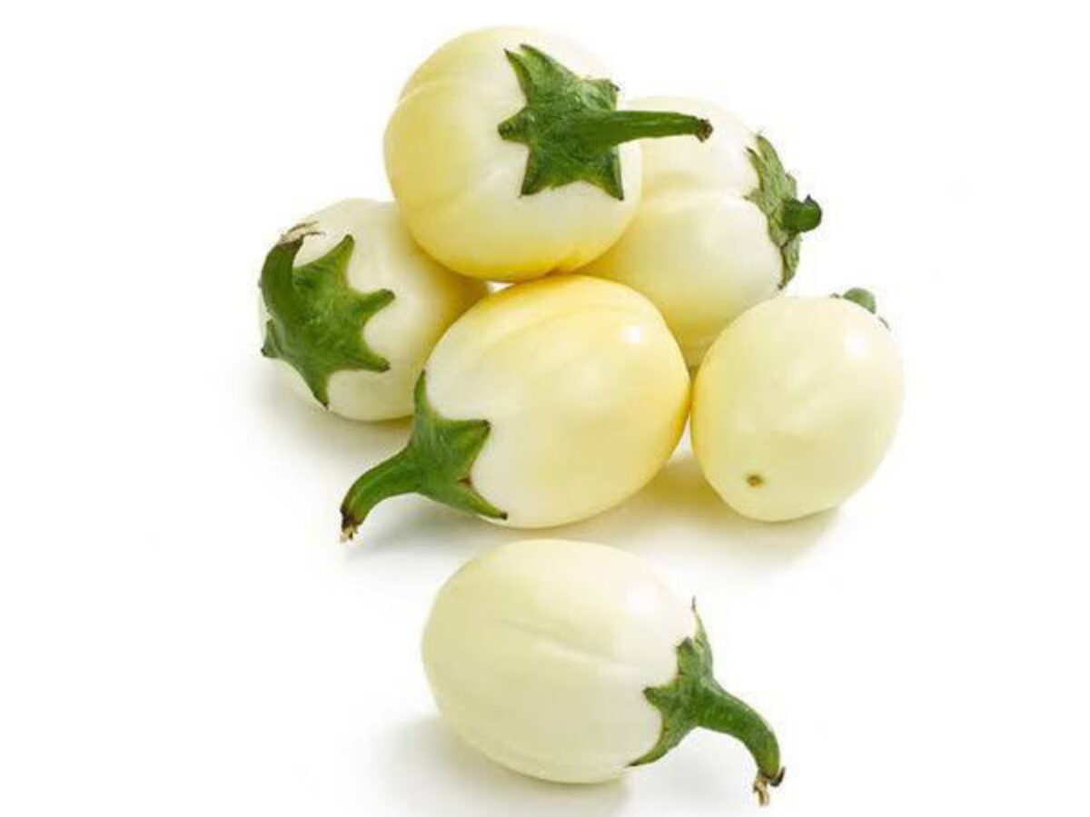 Garden eggs are robust tropical perennial plants